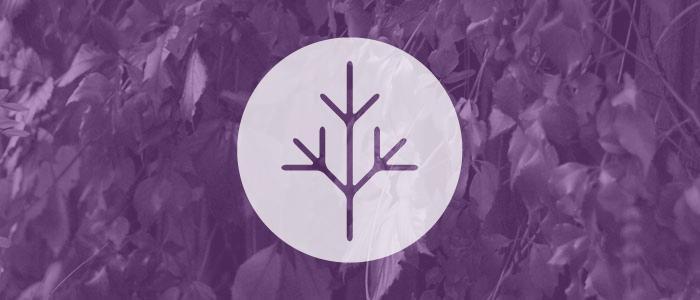 masthead_ph_leaves_edu