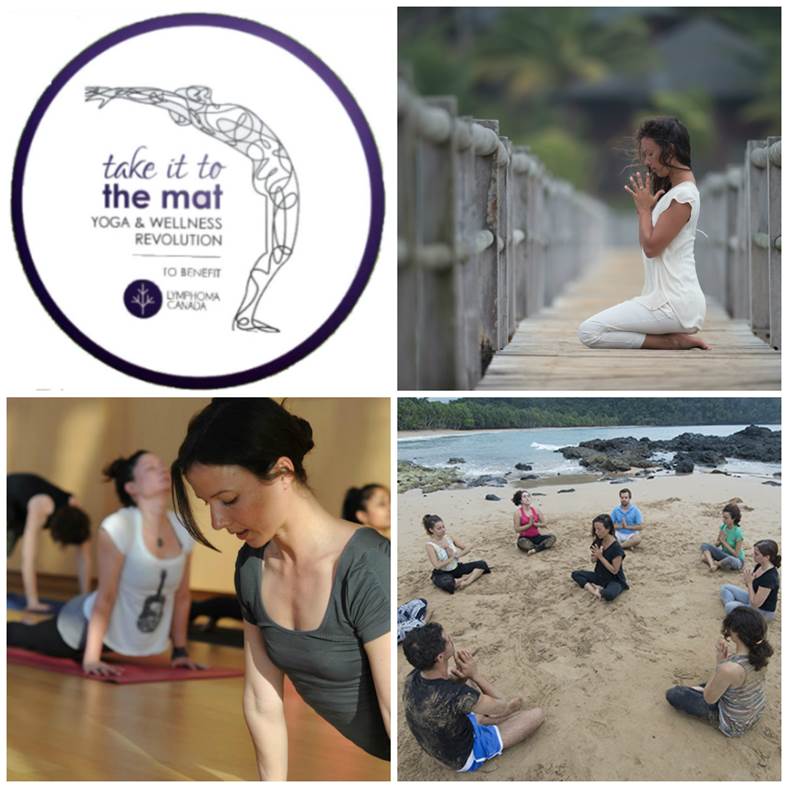 Grace Dubery photo collage for the take it to the mat promotion