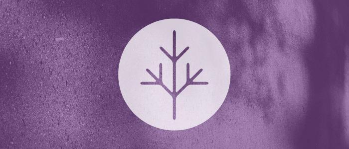 masthead_ph_shadows_9_9