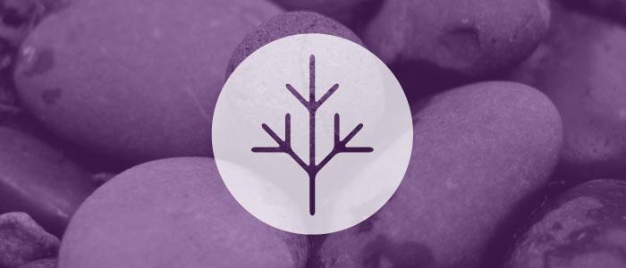 Comprendre l’approche « attente sous surveillance » au sujet du lymphome signs and symptoms types of lymphoma